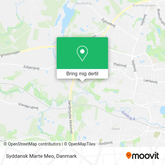 Syddansk Marte Meo kort