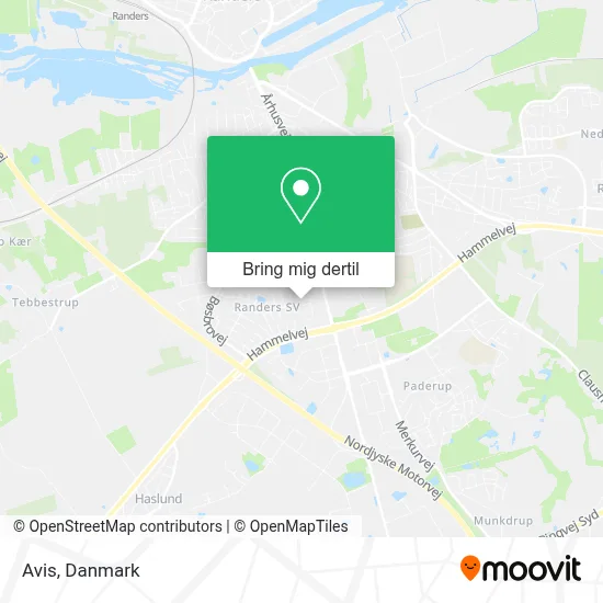 Avis kort