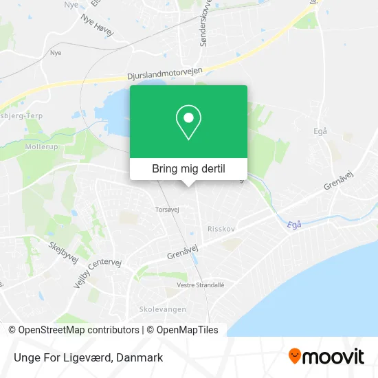 Unge For Ligeværd kort