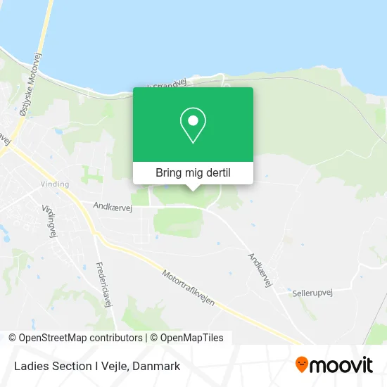 Ladies Section I Vejle kort