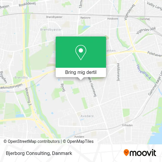 Bjerborg Consulting kort