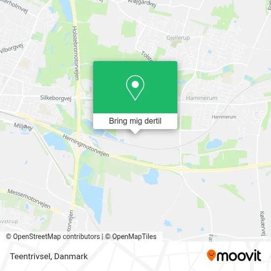 Teentrivsel kort