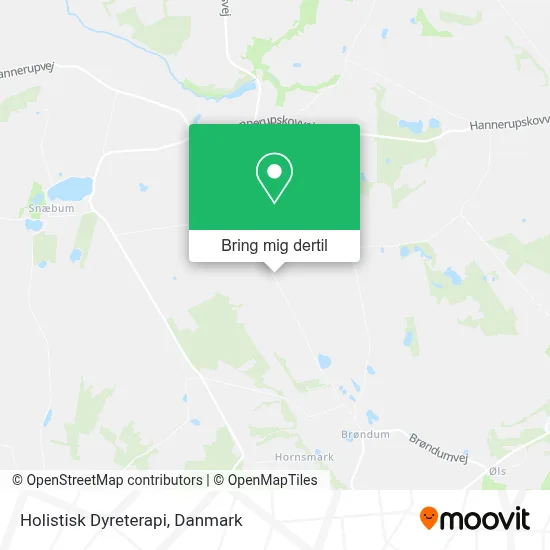 Holistisk Dyreterapi kort