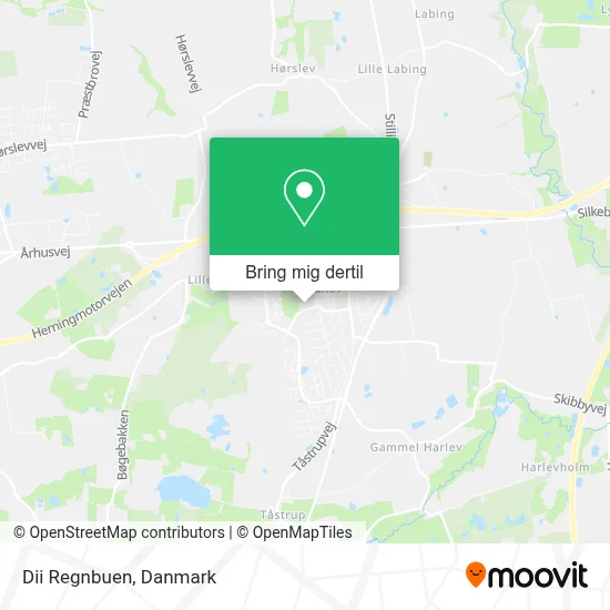 Dii Regnbuen kort