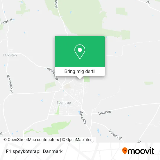 Friispsykoterapi kort