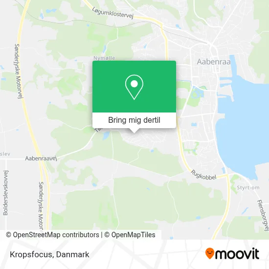 Kropsfocus kort