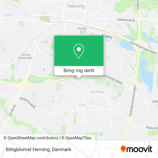 Billigblomst Herning kort