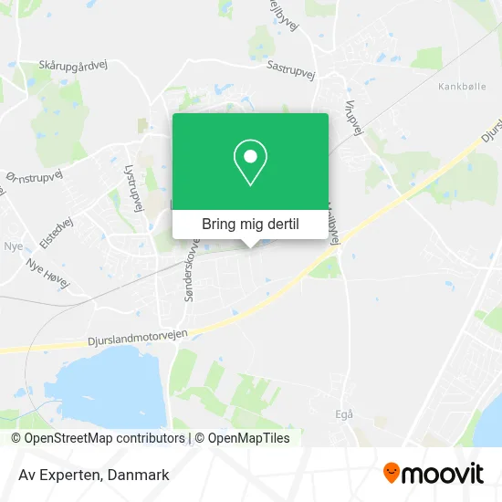 Av Experten kort