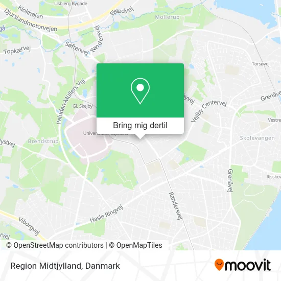 Region Midtjylland kort