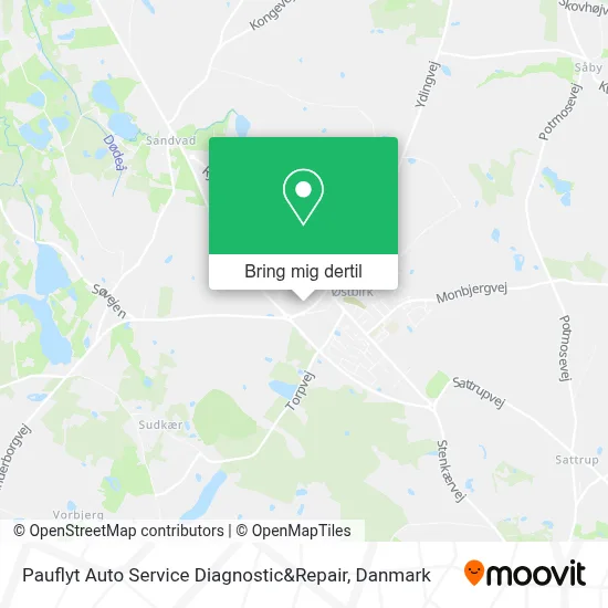 Pauflyt Auto Service Diagnostic&Repair kort