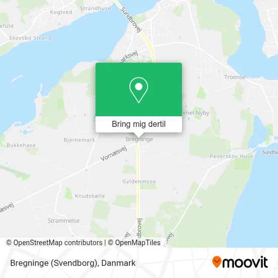 Bregninge (Svendborg) kort
