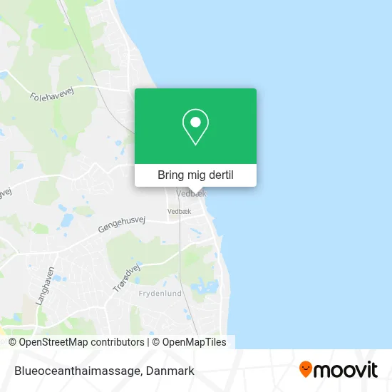Blueoceanthaimassage kort