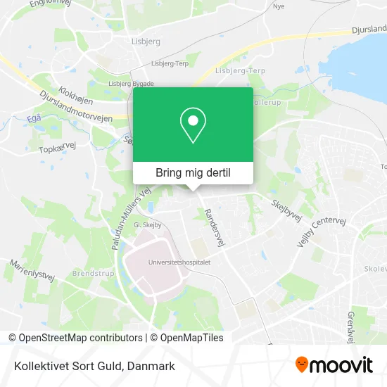 Kollektivet Sort Guld kort