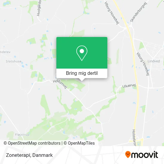 Zoneterapi kort