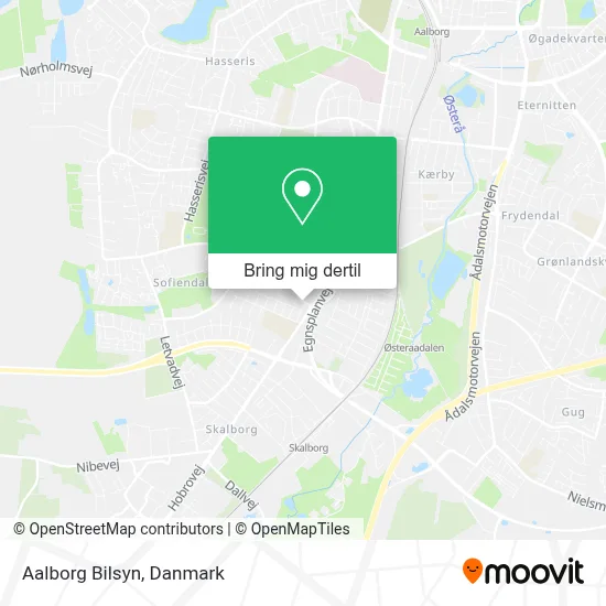 Aalborg Bilsyn kort