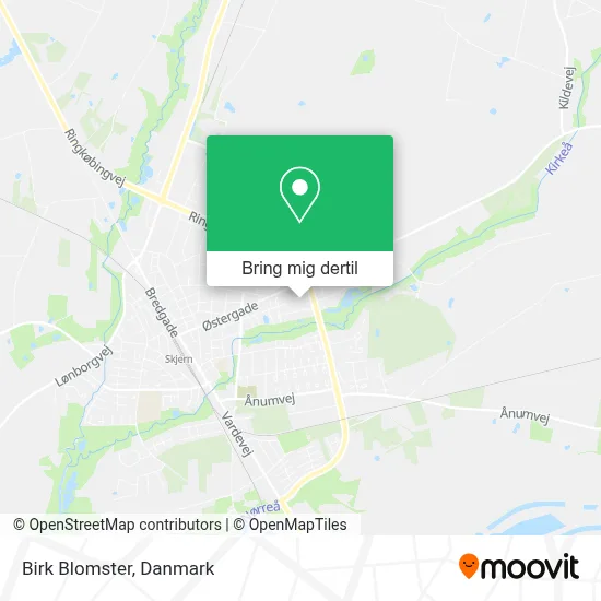 Birk Blomster kort