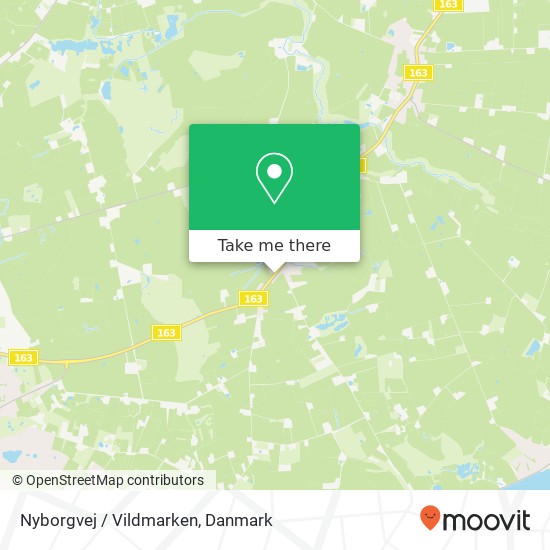 Nyborgvej / Vildmarken kort