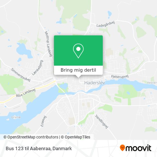Bus 123 til Aabenraa kort