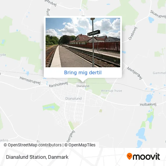 Dianalund Station kort