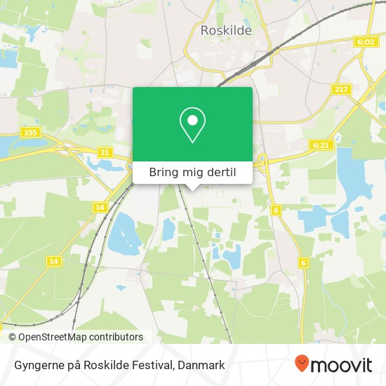 Gyngerne på Roskilde Festival kort