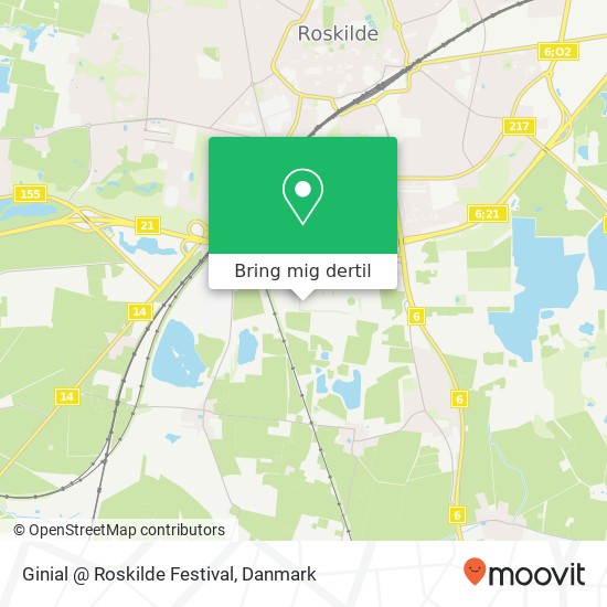 Ginial @ Roskilde Festival kort