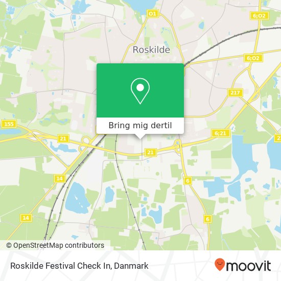 Roskilde Festival Check In kort