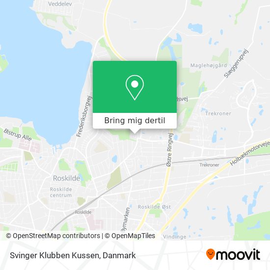 Svinger Klubben Kussen kort