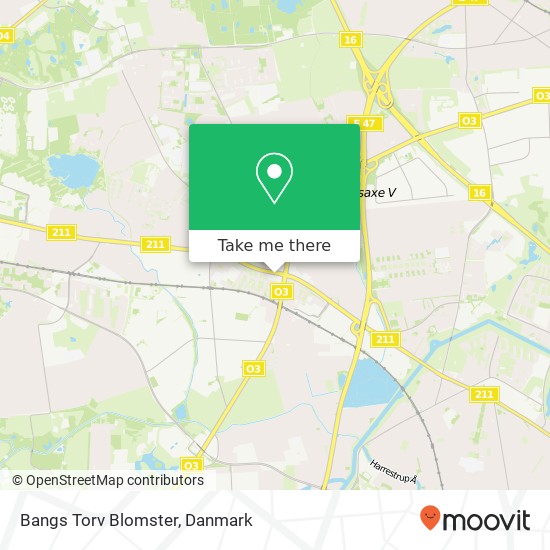 Bangs Torv Blomster kort