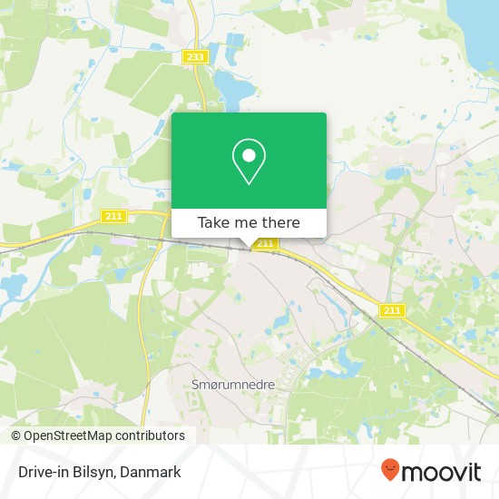 Drive-in Bilsyn kort