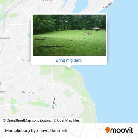 Marselisborg Dyrehave kort