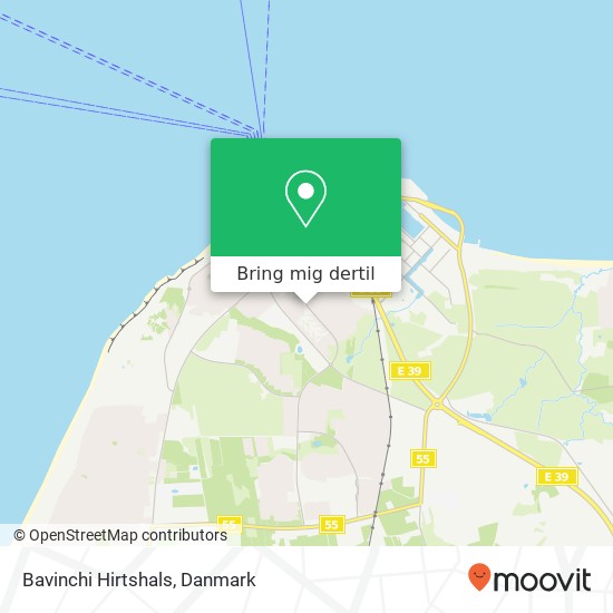 Bavinchi Hirtshals kort