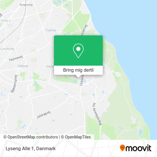 Lyseng Alle 1 kort