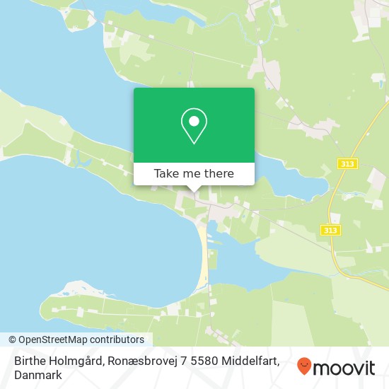 Birthe Holmgård, Ronæsbrovej 7 5580 Middelfart kort