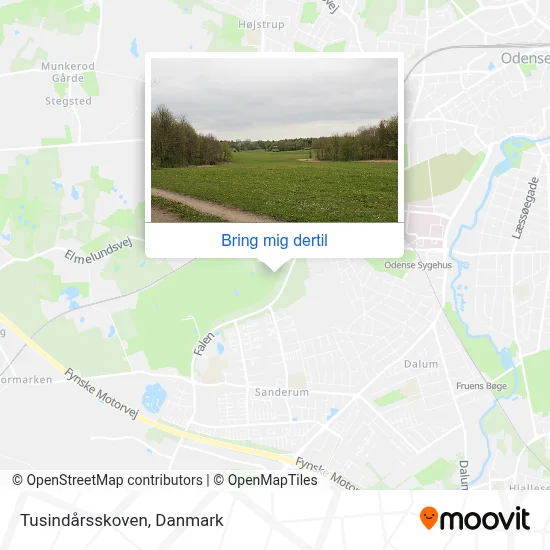 Tusindårsskoven kort