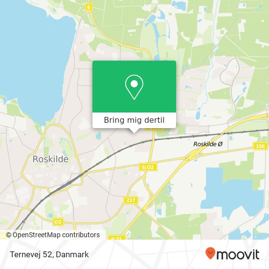 Ternevej 52 kort