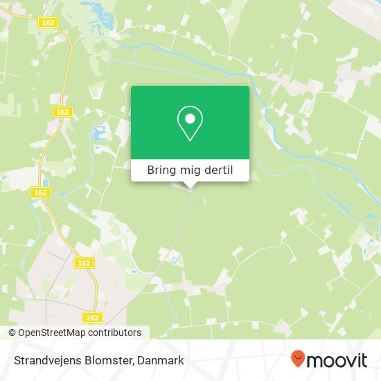 Strandvejens Blomster kort