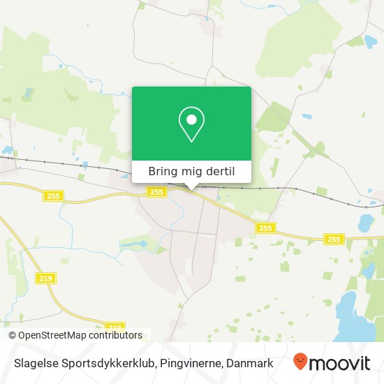 Slagelse Sportsdykkerklub, Pingvinerne kort