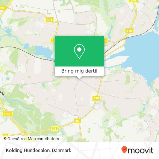 Kolding Hundesalon kort