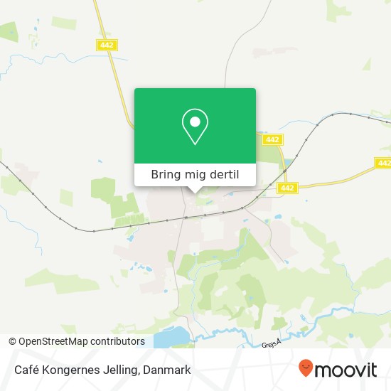 Café Kongernes Jelling kort