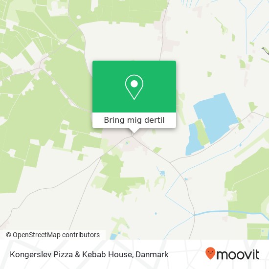 Kongerslev Pizza & Kebab House kort