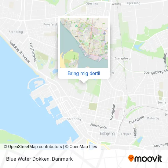 Blue Water Dokken kort