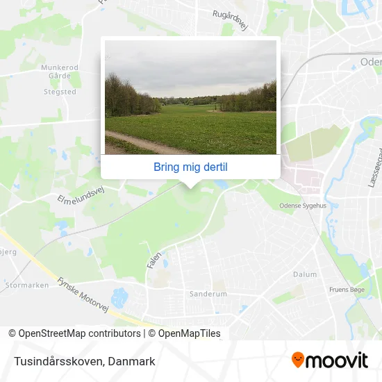 Tusindårsskoven kort