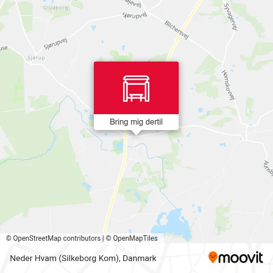 Neder Hvam (Silkeborg Kom) kort