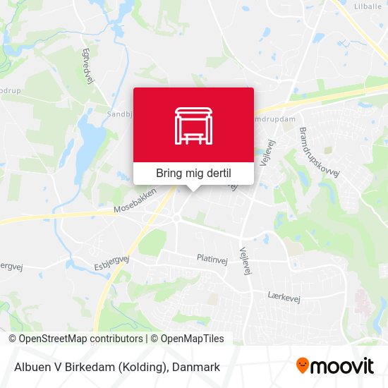 Albuen V Birkedam (Kolding) kort