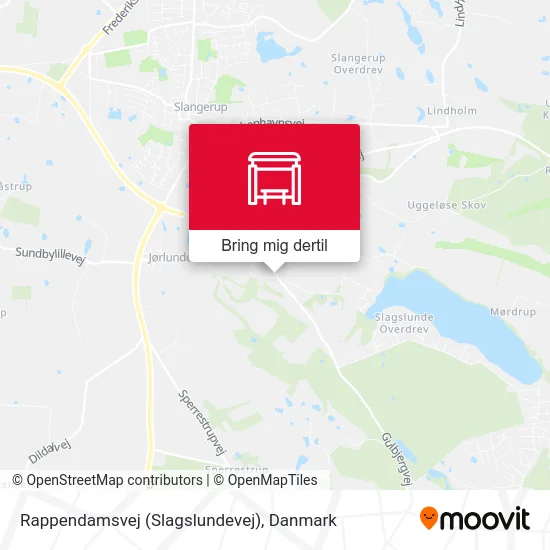 Rappendamsvej (Slagslundevej) kort
