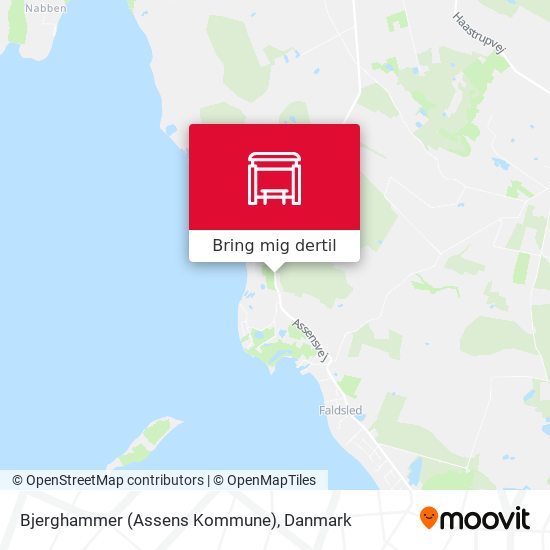 Bjerghammer (Assens Kommune) kort