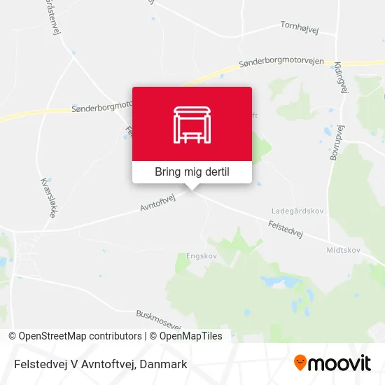 Felstedvej V Avntoftvej kort