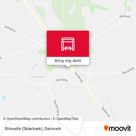 Birkealle (Skærbæk) kort