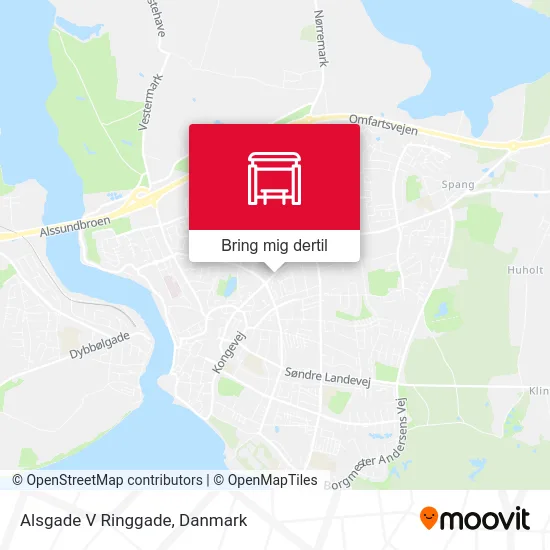 Alsgade V Ringgade kort