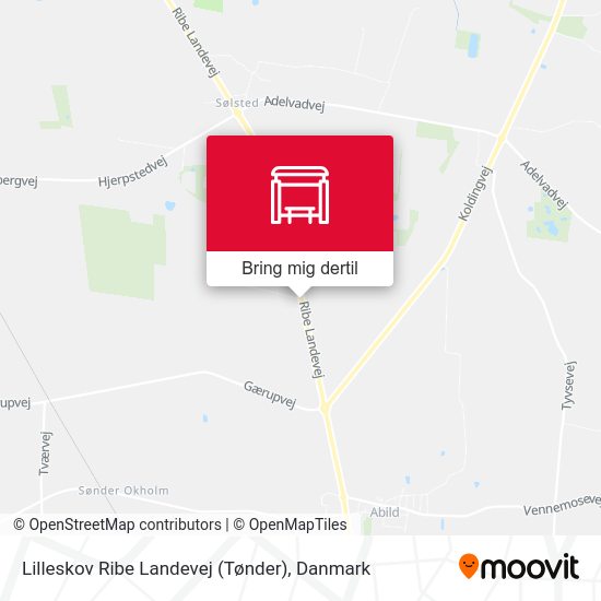 Lilleskov Ribe Landevej (Tønder) kort